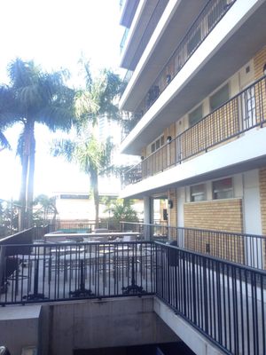 Bunk Surfers Paradise by null