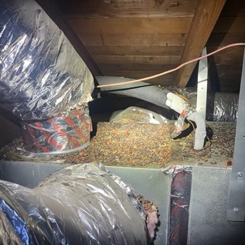 American HVAC Design - This is my attic where the equipment was broken - Heating & Air Conditioning/HVAC Near Me American HVAC Design - This is my attic where the equipment was broken - Heating & Air Conditioning/HVAC Near Me