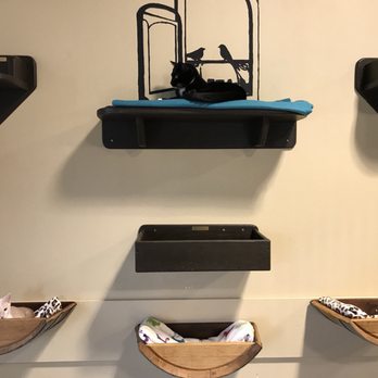 Orlando Cat Cafe - Animal Shelters Near Me - Clermont, Florida Orlando Cat Cafe - Animal Shelters Near Me - Clermont, Florida