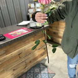 Harrisburg Florist