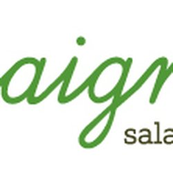 Vinaigrette Salad Kitchen