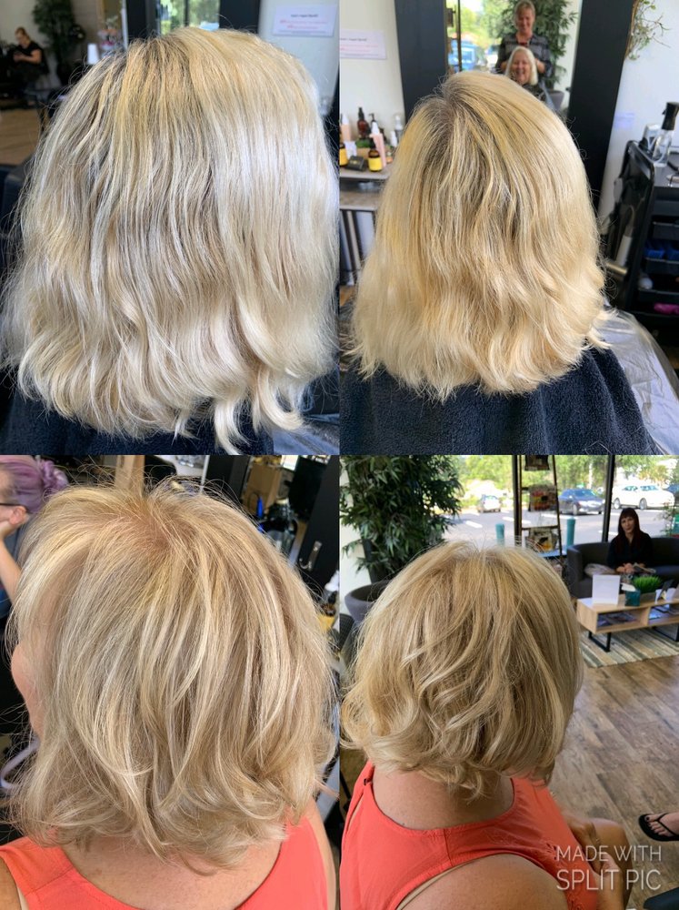 MODERN ORGANIC SALON & SPA 78 Photos & 12 Reviews Hair Salons 6 Florida Park Dr N, Palm