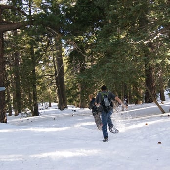 Humber Park - snowshoeing - Parks Near Me - Idyllwild, California