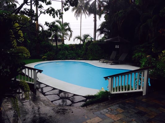 Orchid Tree Bed & Breakfast by null