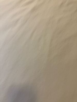 HOTEL ROCKAWAY by null