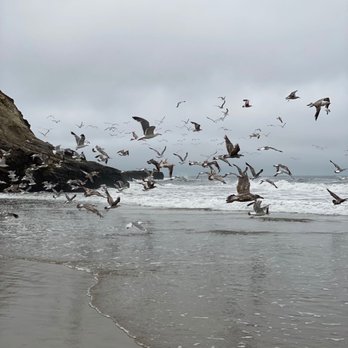 Laguna Creek Beach - Flying awayyyyyyy - Beaches Near Me - Davenport, California