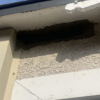 Rodent Control - Pest Control Near Me - Los Angeles, California Rodent Control - Pest Control Near Me - Los Angeles, California