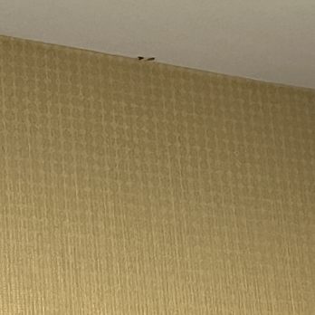 Courtyard by Marriott - Dirt on the shower ceiling - Hotels Near Me - Junction City, Kansas