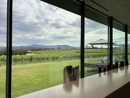 Oakridge Wines by null