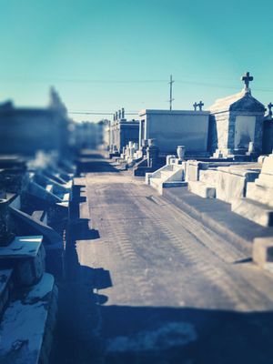 St Vincent De Paul Cemetery by null
