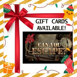 Steal and Escape - Looking for a fun and unique holiday gift? Give them something they will never forget!