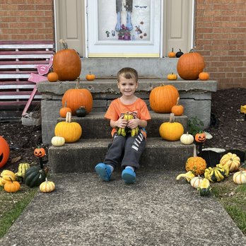 Hoff's All Season Supply - Thanks Hoff's! For all these great pumpkins! - Nurseries & Gardening Near Me - Pittsburgh, Pennsylvania Hoff's All Season Supply - Thanks Hoff's! For all these great pumpkins! - Nurseries & Gardening Near Me - Pittsburgh, Pennsylvania