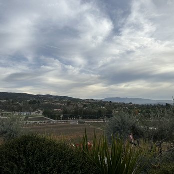 Grapeline Wine Tours - Wine Tours Near Me - Temecula, California Grapeline Wine Tours - Wine Tours Near Me - Temecula, California