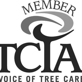 Integrity Tree Care - Tree Services Near Me Integrity Tree Care - Tree Services Near Me