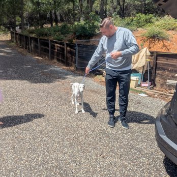 Pet Relocation - Driver Drew when he picked up the puppy at our house in CA - Pet Services Near Me - Austin, Texas
