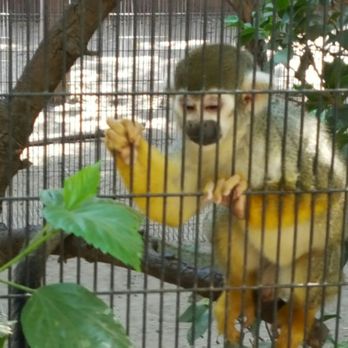 Wildlife Learning Center - Zoos Near Me - Sylmar, California
