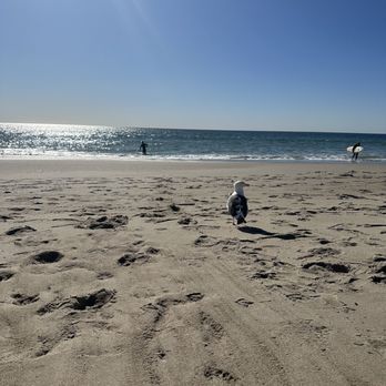 Westward Beach - Beach - Beaches Near Me - Malibu, California
