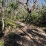 Photo of Mill Creek