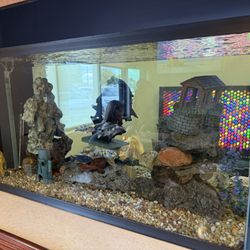 Canyon Ridge Pediatric Dentistry - Awesome fish tank!!