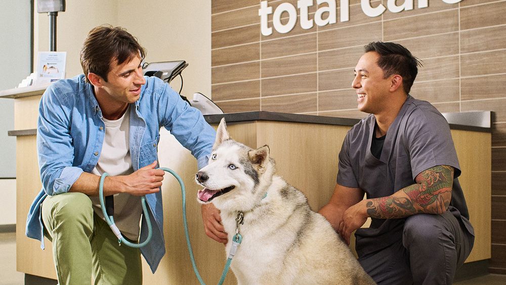 Petco Image