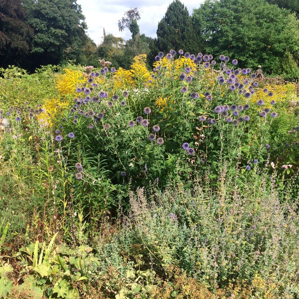 Winterbourne House and Garden - Botanical Gardens Near Me - Birmingham, XWM