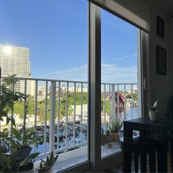 Serenity On the River - Wha t a view
