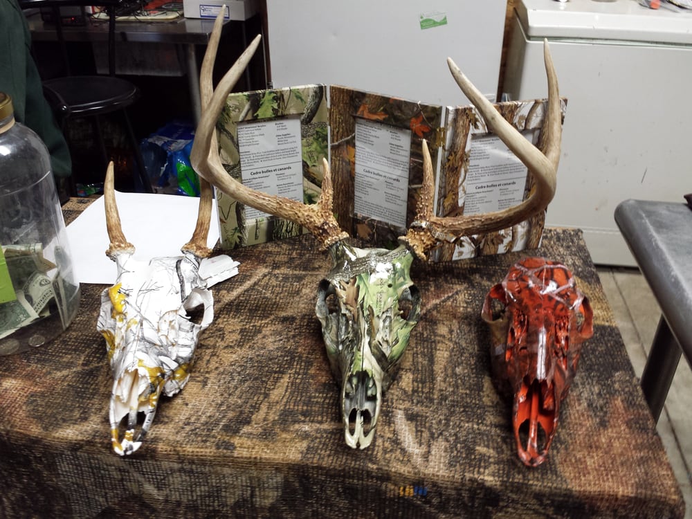 New Creations Taxidermy - taxidermy in Logan, OH