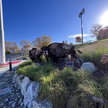 National Harbor - American Bison at Spirit Park - Landmarks & Historical Buildings Near Me - National Harbor, Maryland National Harbor - American Bison at Spirit Park - Landmarks & Historical Buildings Near Me - National Harbor, Maryland