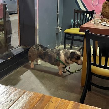Long Beach Beer Lab - doggie - Breweries Near Me - Long Beach, California Long Beach Beer Lab - doggie - Breweries Near Me - Long Beach, California