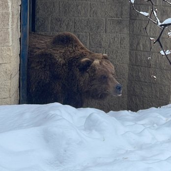 The Alaska Zoo - Zoos Near Me - Anchorage, Alaska The Alaska Zoo - Zoos Near Me - Anchorage, Alaska