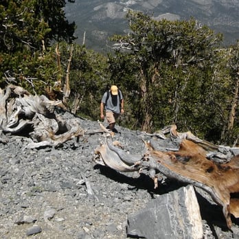 Mummy's Toe - Hiking Near Me - Mount Charleston, Nevada