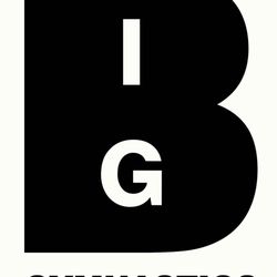 BIG Gymnastics