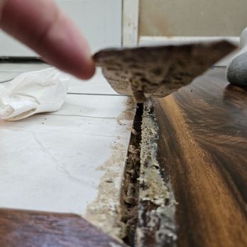 Becks Flooring - a person's hand removing a piece of wood - Flooring Near Me Becks Flooring - a person's hand removing a piece of wood - Flooring Near Me