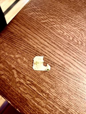 Barking Dog Restaurant by null