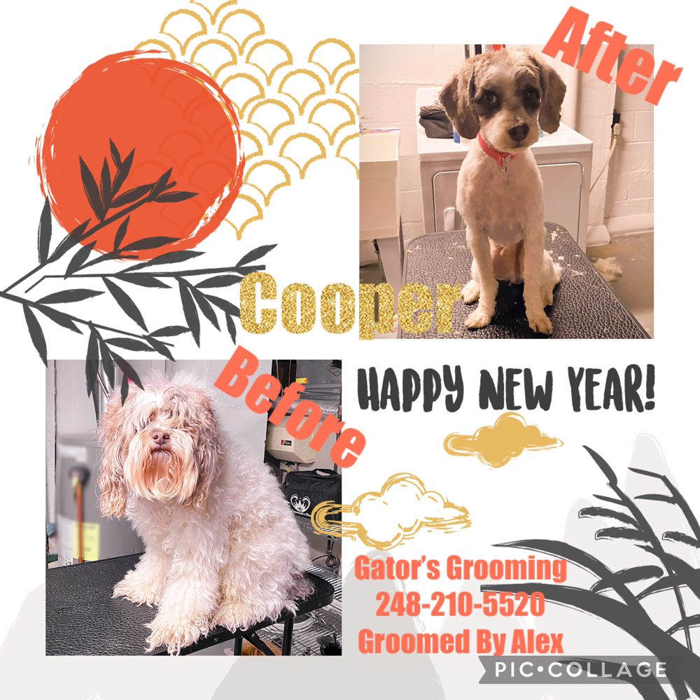 GATOR’S GROOMING Updated June 2024 16 Photos Farmington Hills