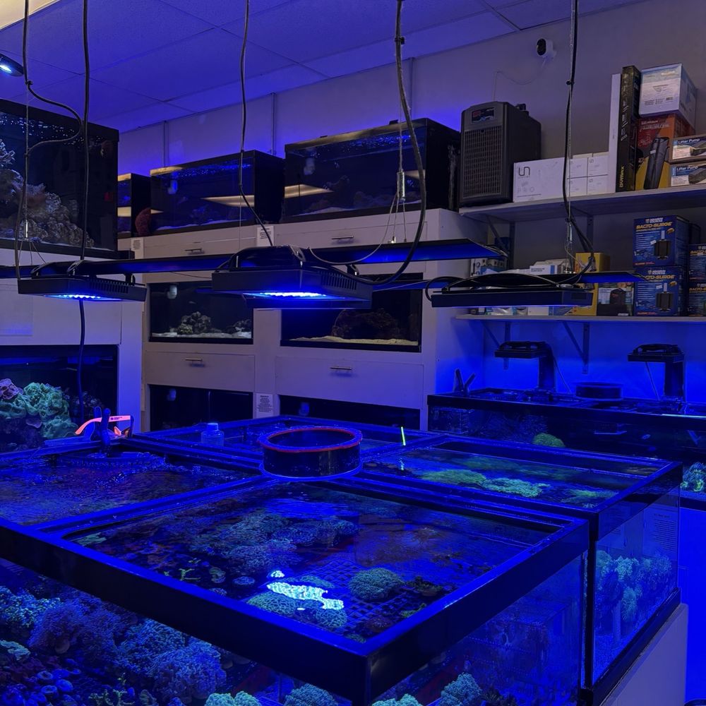 Big Fish Aquarium - Aquarium Services Near Me - Chicago, Illinois