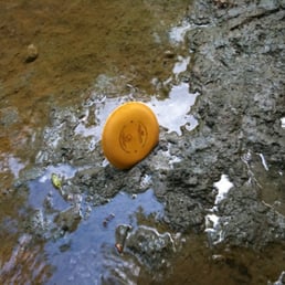 My disc stuck in mud off hole 3! My disc stuck in mud off hole 3!