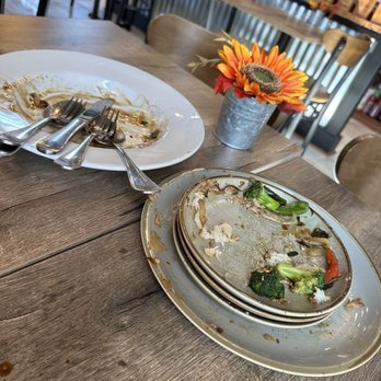 Chang Thai - No need for to go boxes! - Thai Near Me - Charlottesville, Virginia