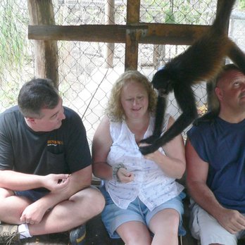 The Jungle Place - Animal Shelters Near Me - Chemuyil, ROO The Jungle Place - Animal Shelters Near Me - Chemuyil, ROO