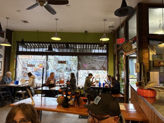 The Local Cow by null