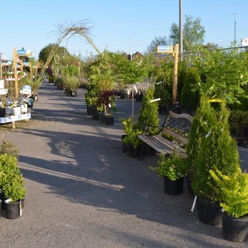 Charbonneau l'Expert - Florists Near Me - Laval, Quebec Charbonneau l'Expert - Florists Near Me - Laval, Quebec