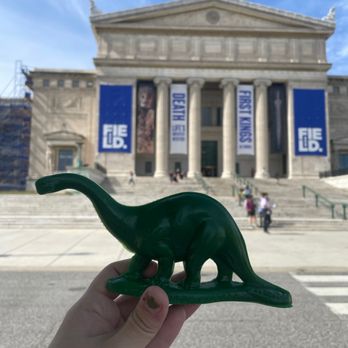 Field Museum - Museums Near Me - Chicago, Illinois