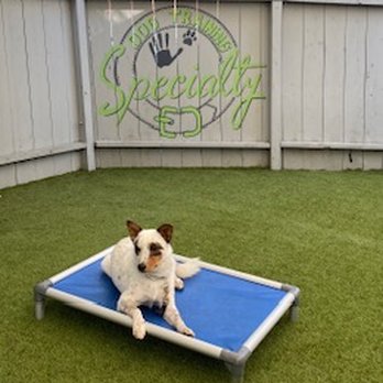 Specialty Dog Training - Pet Training Near Me - Oceanside, California