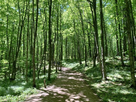 Miners Falls by null