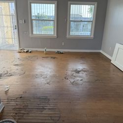 Omar's Hardwood Floors - I've added some before and after photos! I would highly recommend them .
