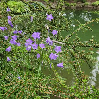 Ohme Gardens - Tours Near Me - Wenatchee, Washington Ohme Gardens - Tours Near Me - Wenatchee, Washington