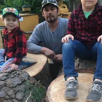 Triple J Tree Service - Some fresh pine - Tree Services Near Me