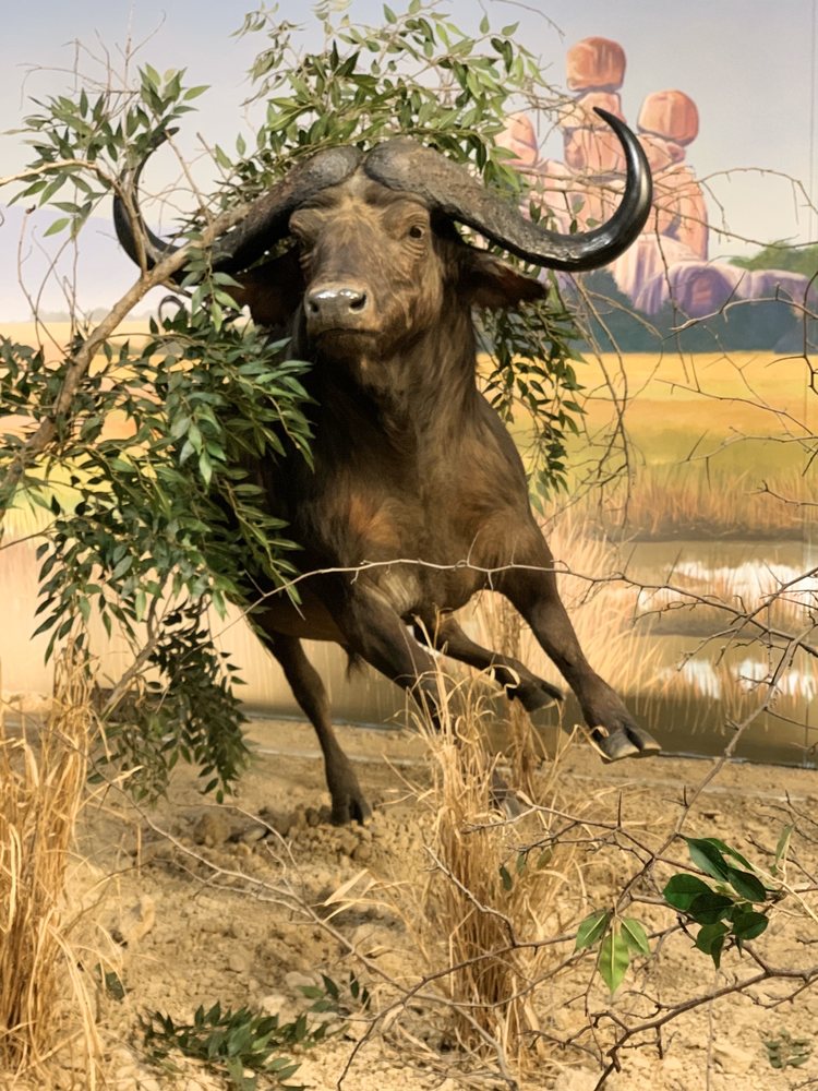 CABELA’S 190 Photos & 61 Reviews 1 Cabela Dr, Triadelphia, WV Yelp