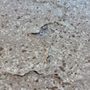 A+ Concrete Designs