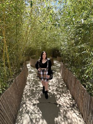ABQ BioPark - Botanic Garden by null